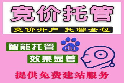 百度竞价运营案例分析：实战经验总结